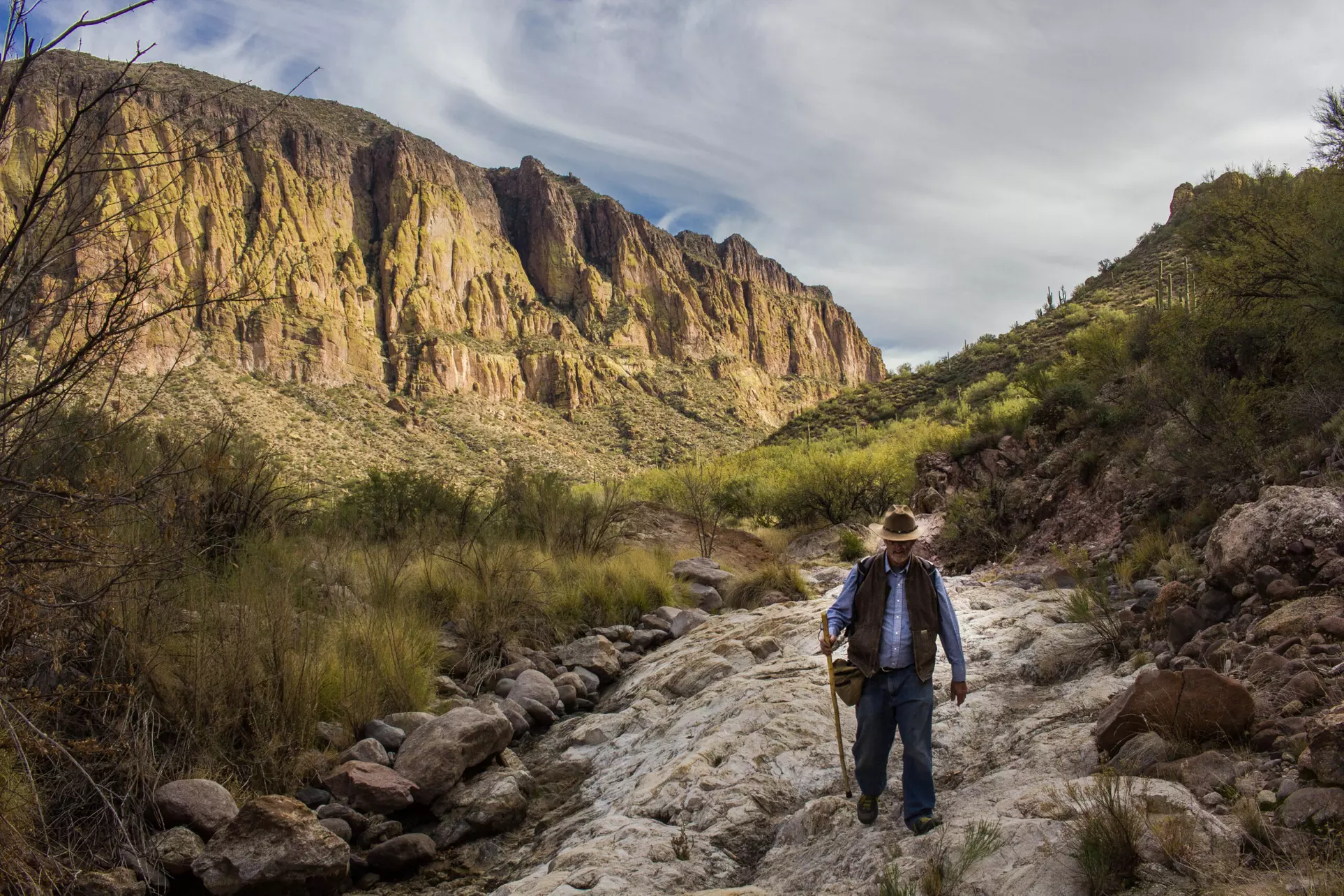 Join a Guided Adventure in Arizona's Iconic Sonoran Desert