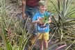 90-Minutes Sensory Farm Tour at Koili Point ES in Papaikou, HI - Second Medium
