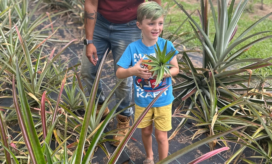 Image 6: 90-Minutes Sensory Farm Tour at Koili Point ES in Papaikou, HI