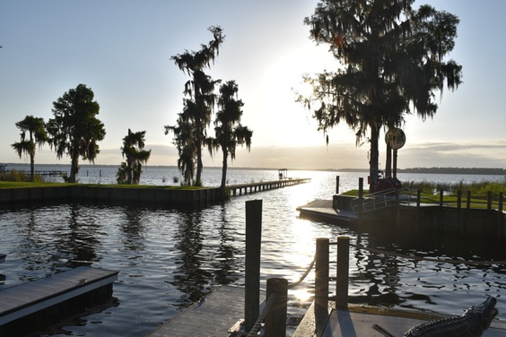 What to expect media