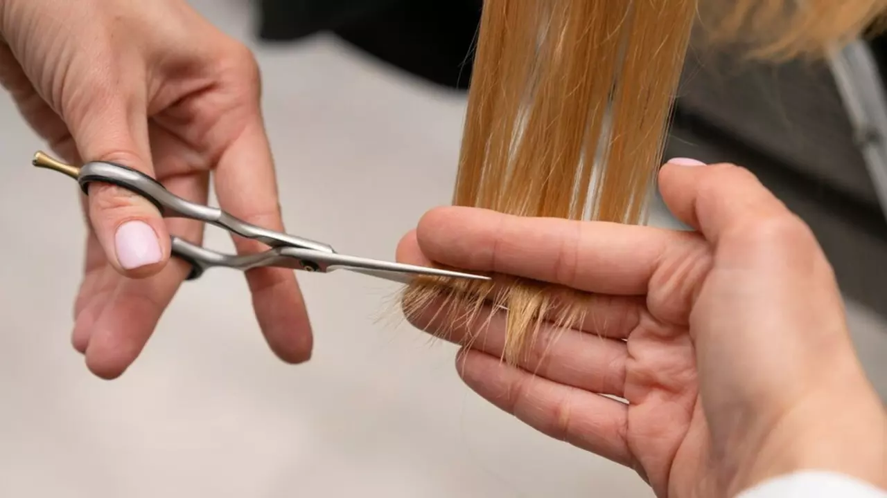 Unleash Your Inner Stylist with Training Express! Get up to 88% Off on the Precision Hair Techniques Online Course!