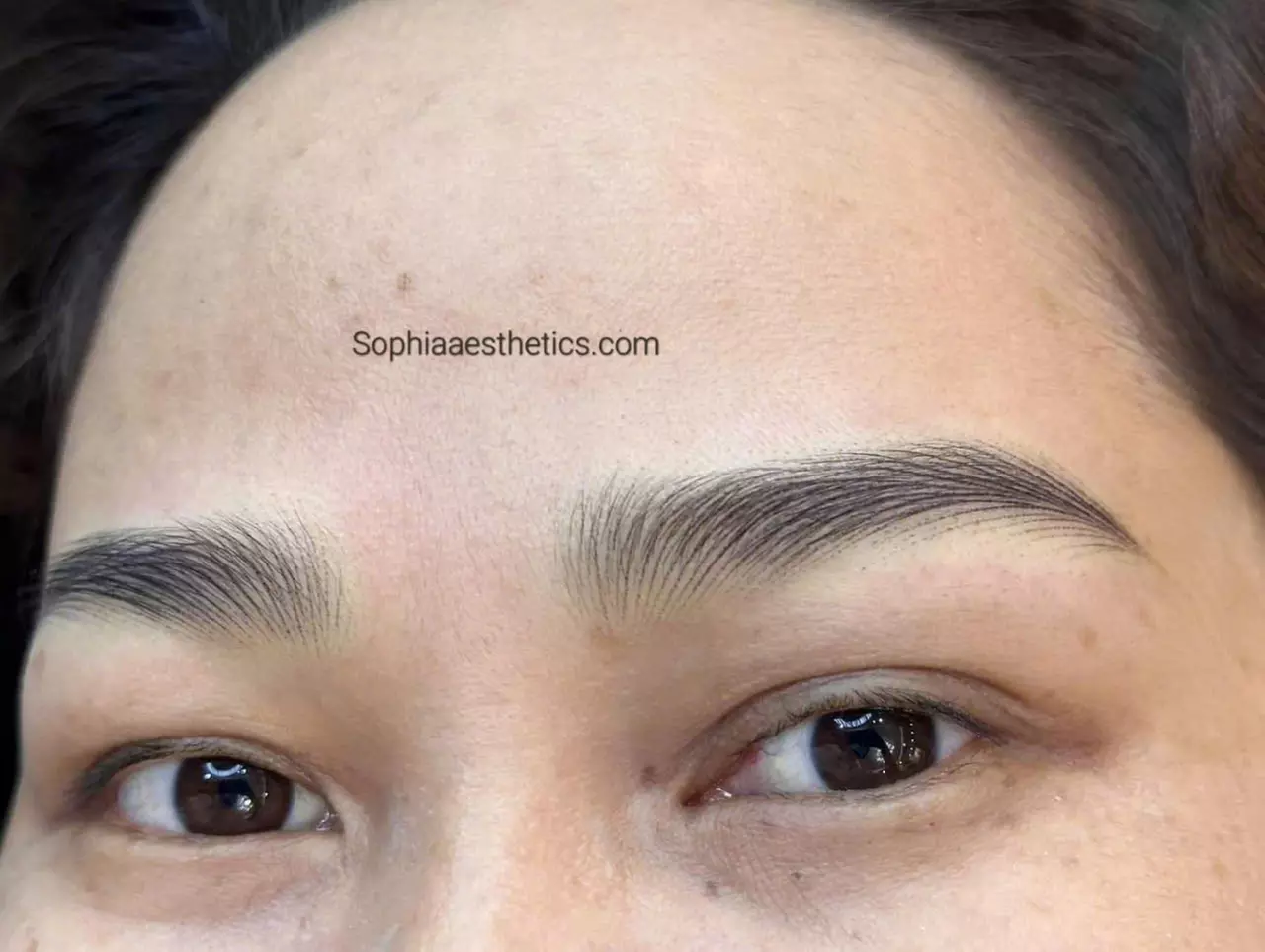 Up to 49% Off on Permanent Makeup at Sophia Aesthetics