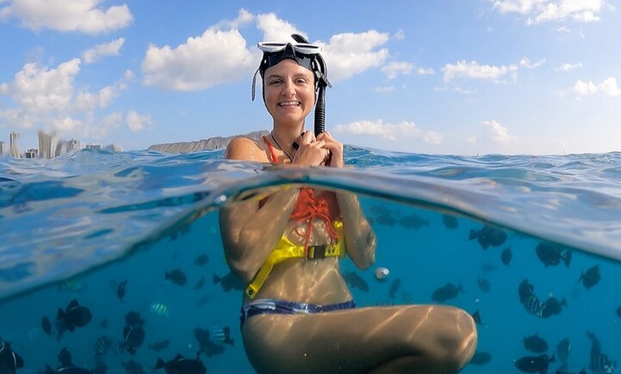 Image 2: Waikiki's Turtle Snorkeling Boat Cruise at Waikiki Snorkel Company