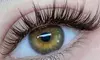Transform your lashes with Aida Beauty's full set classic or hybrid extensions, offering up to 50% off for a fuller look.