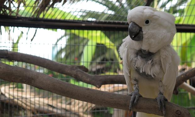 What to expect media