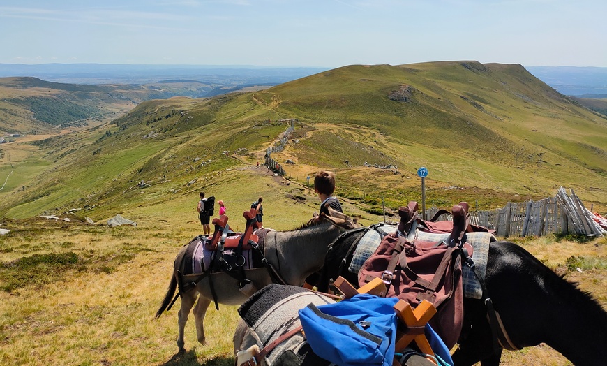 Image 1: Jusqu'à 40% de remise sur Équitation - Loisir chez Le Col De La Molède À Cheval