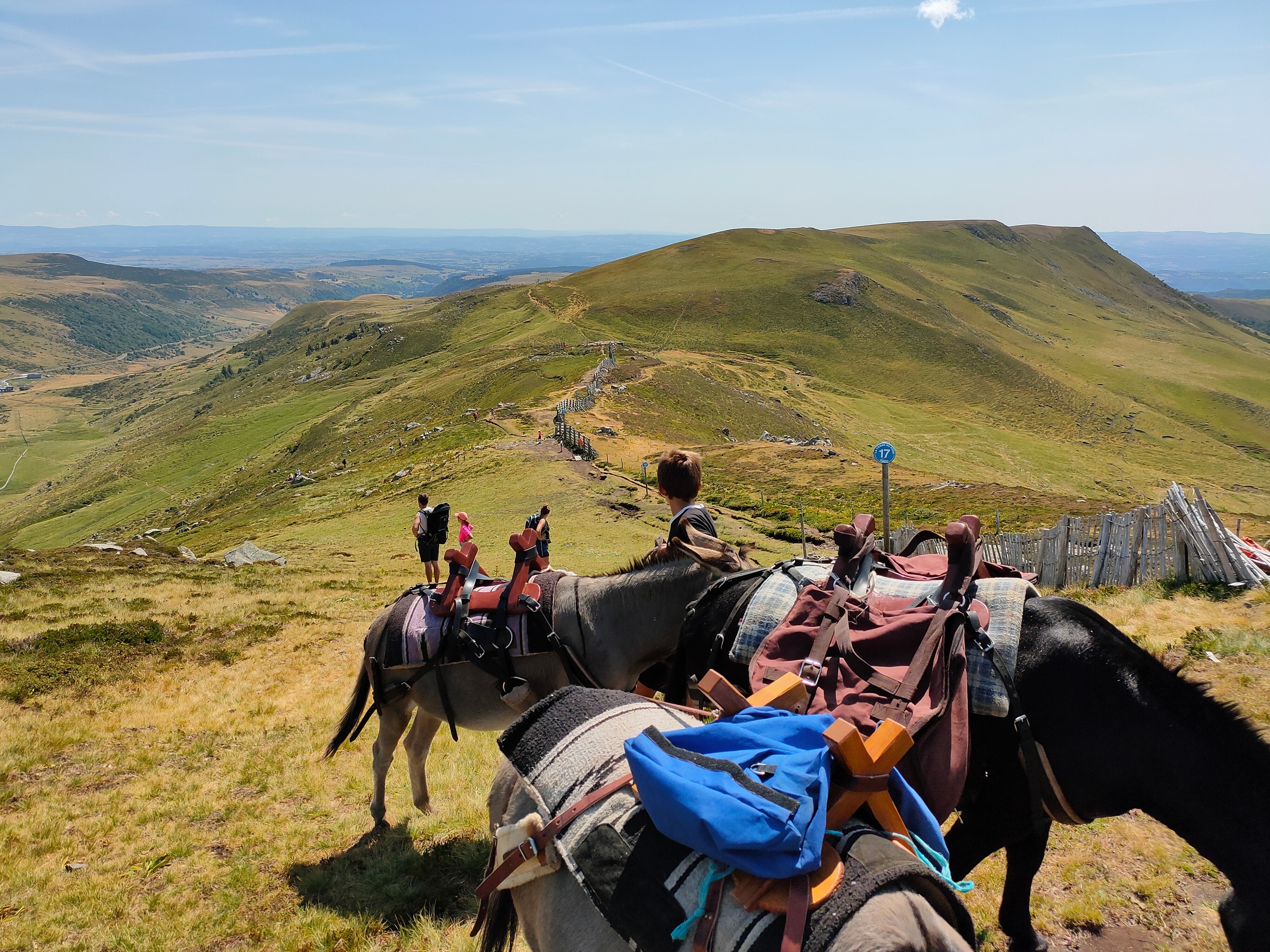 Jusqu'à 40% de remise sur Équitation - Loisir chez Le Col De La Molède À Cheval
