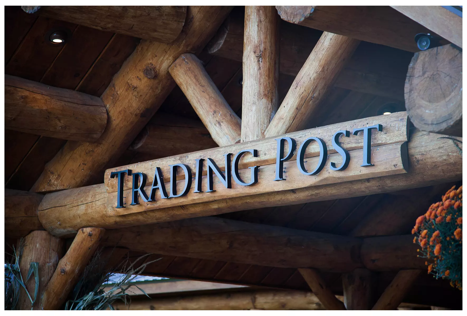 Experience a day of shooting with a full range pass and gear