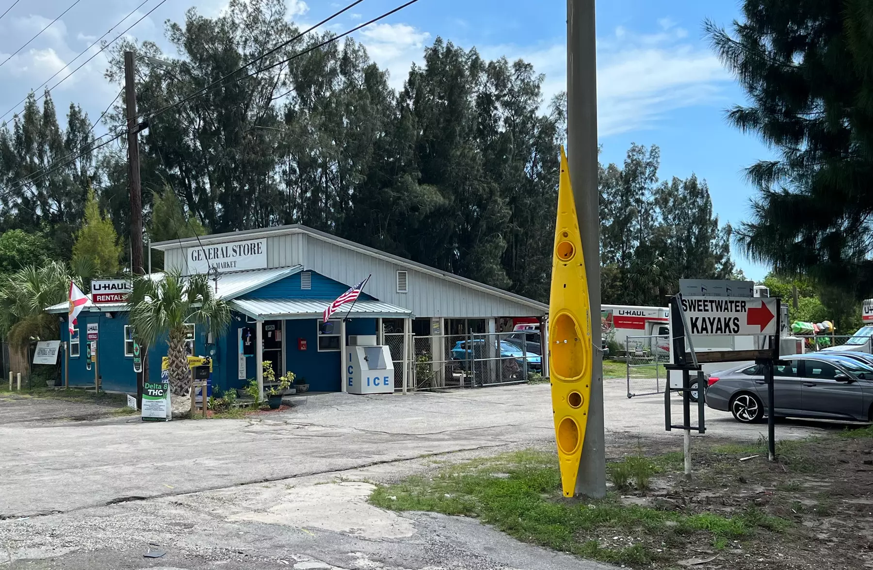 Explore Tampa Bay with 2 Hour Kayak and Paddleboard Rentals