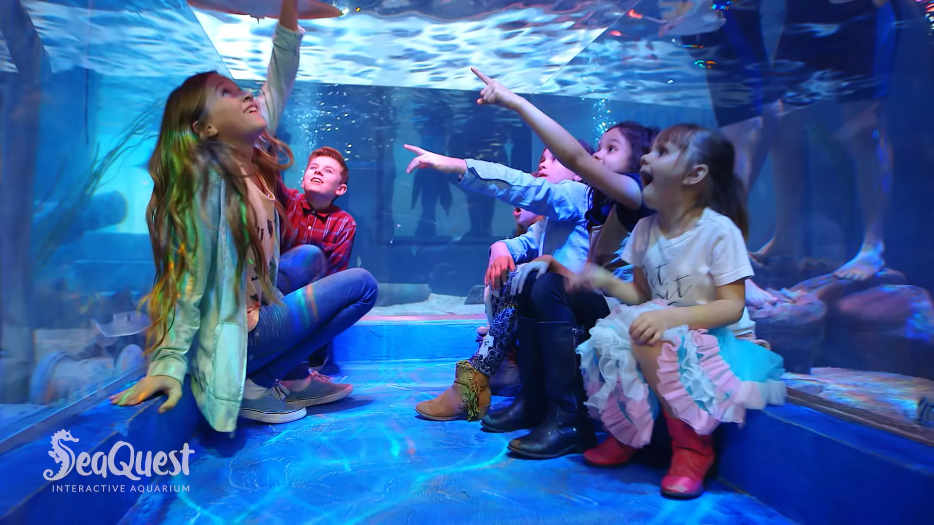 Up to 30% Off on Children's Party / Event at Seaquest  - Primary Image