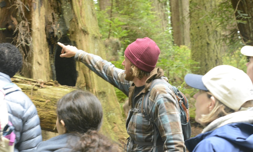 Image 8: Escape to Redwoods: 2-Hr Private E-Bike Tour - Up to 4, 5 or 6 Riders 