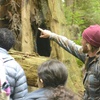 Image 8: Escape to Redwoods: 2-Hr Private E-Bike Tour - Up to 4, 5 or 6 Riders 