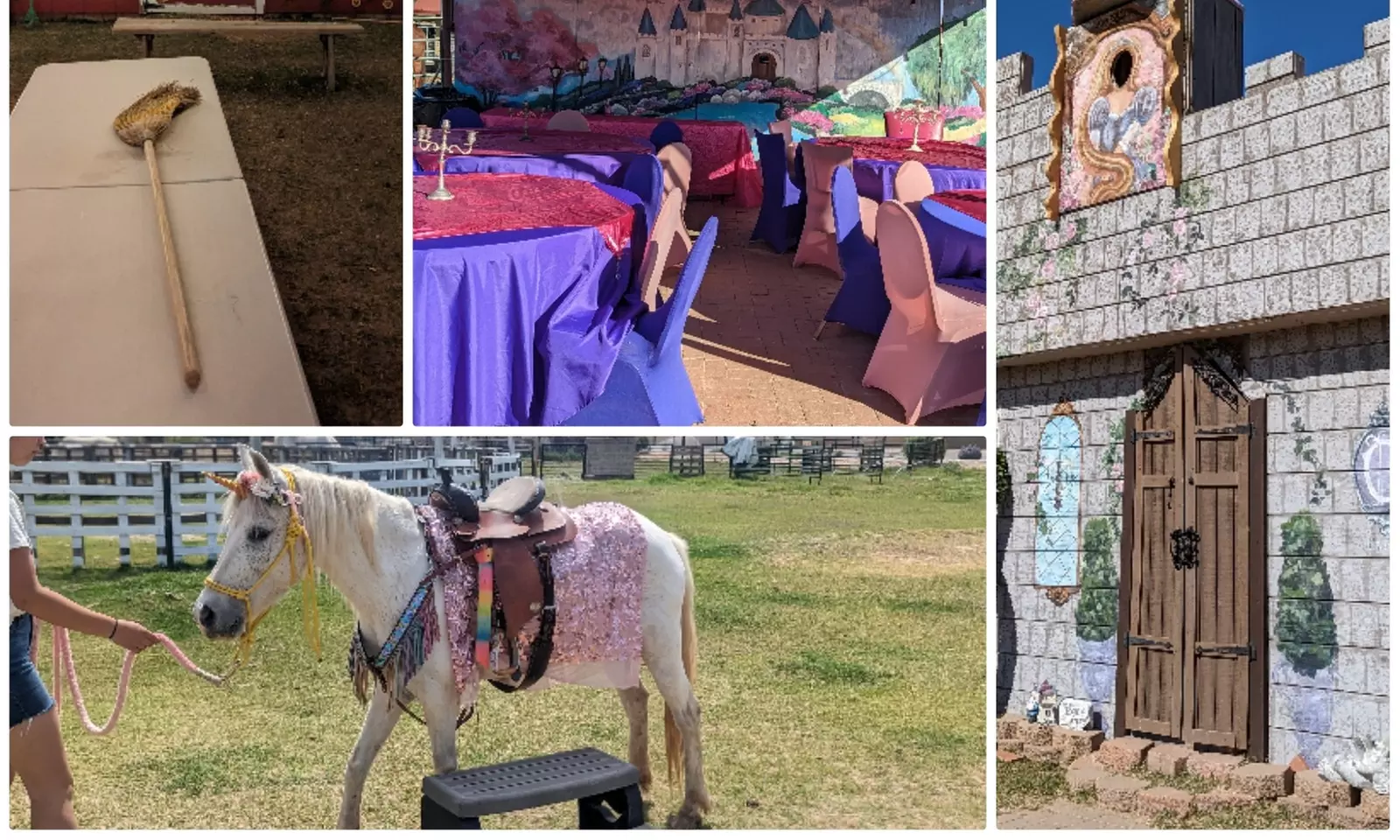 Up to 29% Off on Carnival at Charming Pony Parties - Second Medium