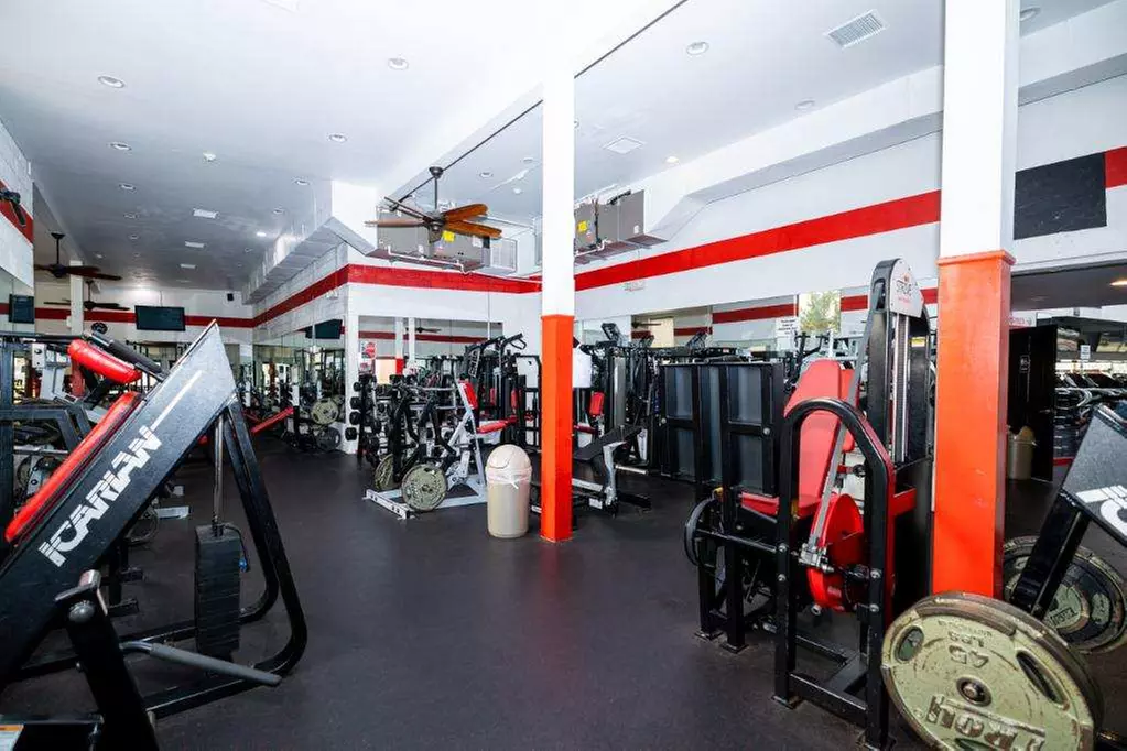 Explore Gym Membership Options: 1 Year or 6 Months Available