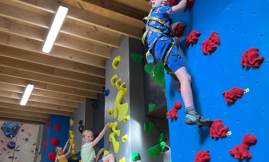 Image 3: All-Day Climbing Pass with Equipment at Sydney Indoor Climbing Gym