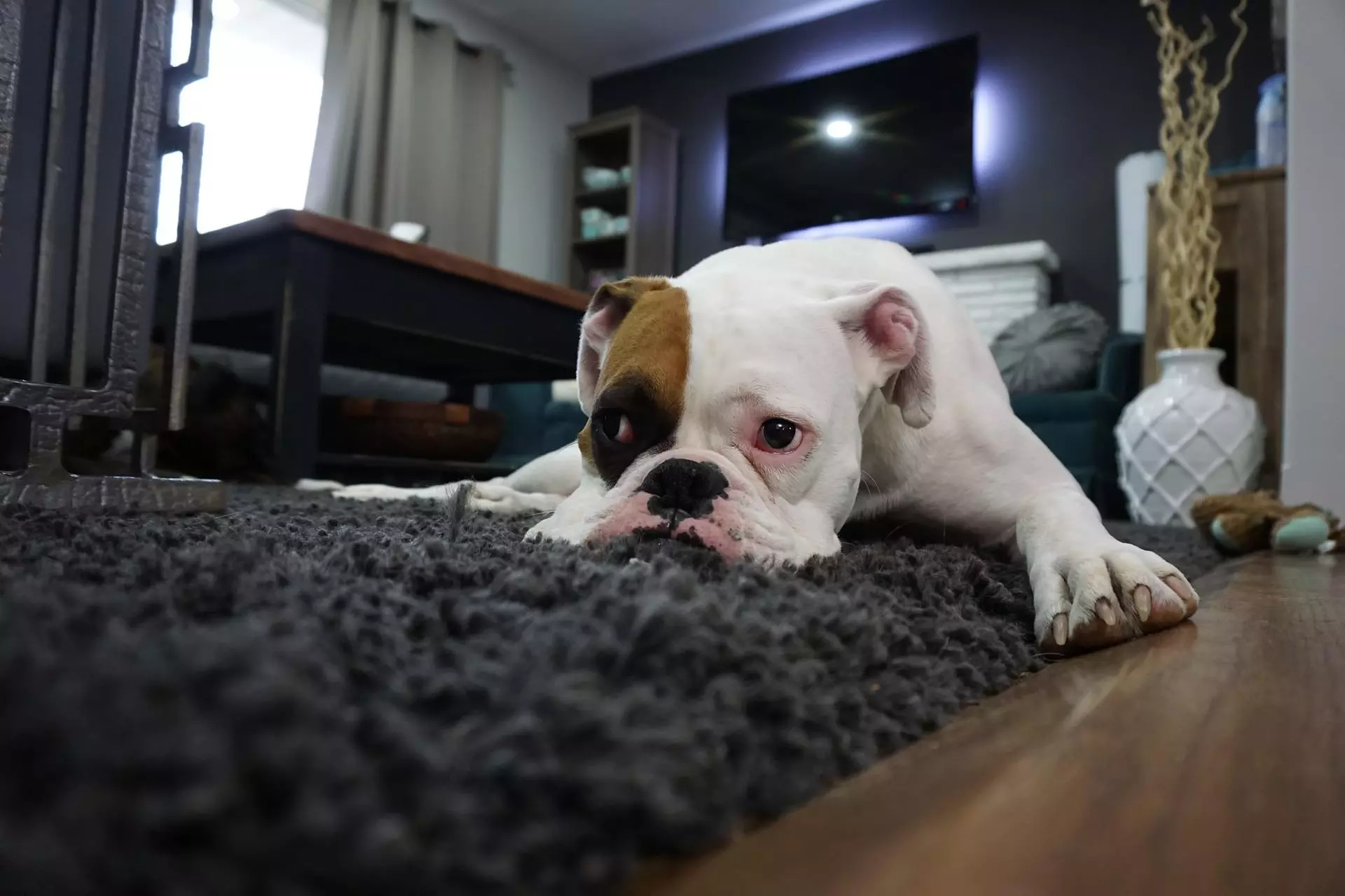 Up to 75% Off on Carpet Cleaning at On Time Cleaning - Second Medium