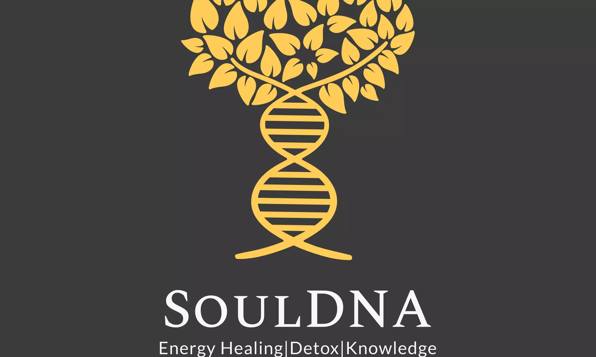 Discover SoulDNA's 60-Minute Reiki and Bioresonance Therapy Sessions, promoting balance and harmony, with up to 50% off - Primary Image