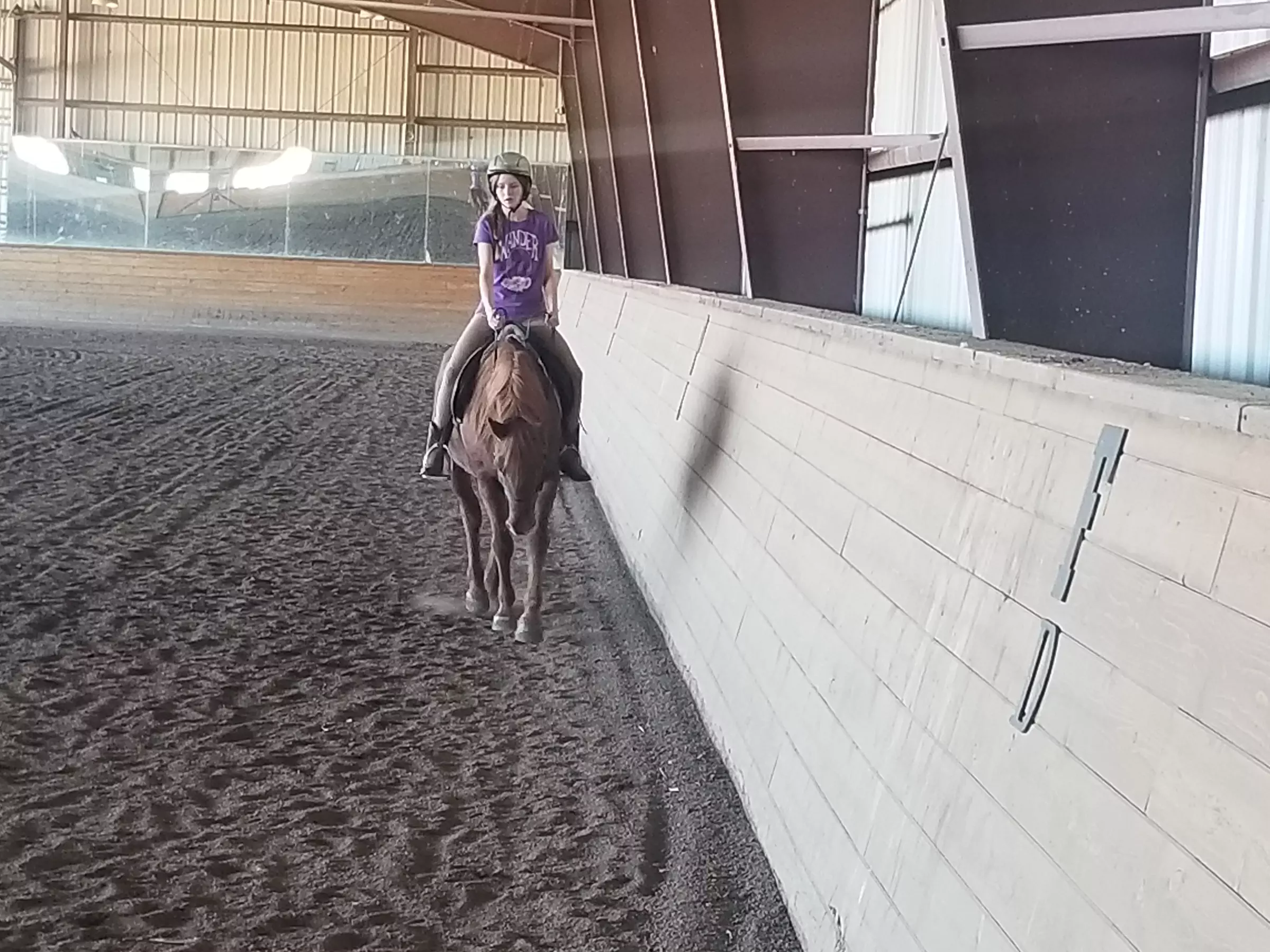 Up to 36% Off on Horse Back Riding at Harmony Horsemanship - Second Medium