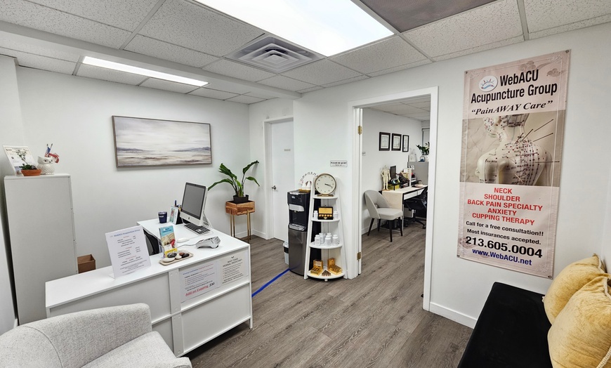 Image 3: Experience Consultation + Electro-acupuncture and Manual Therapy Combo