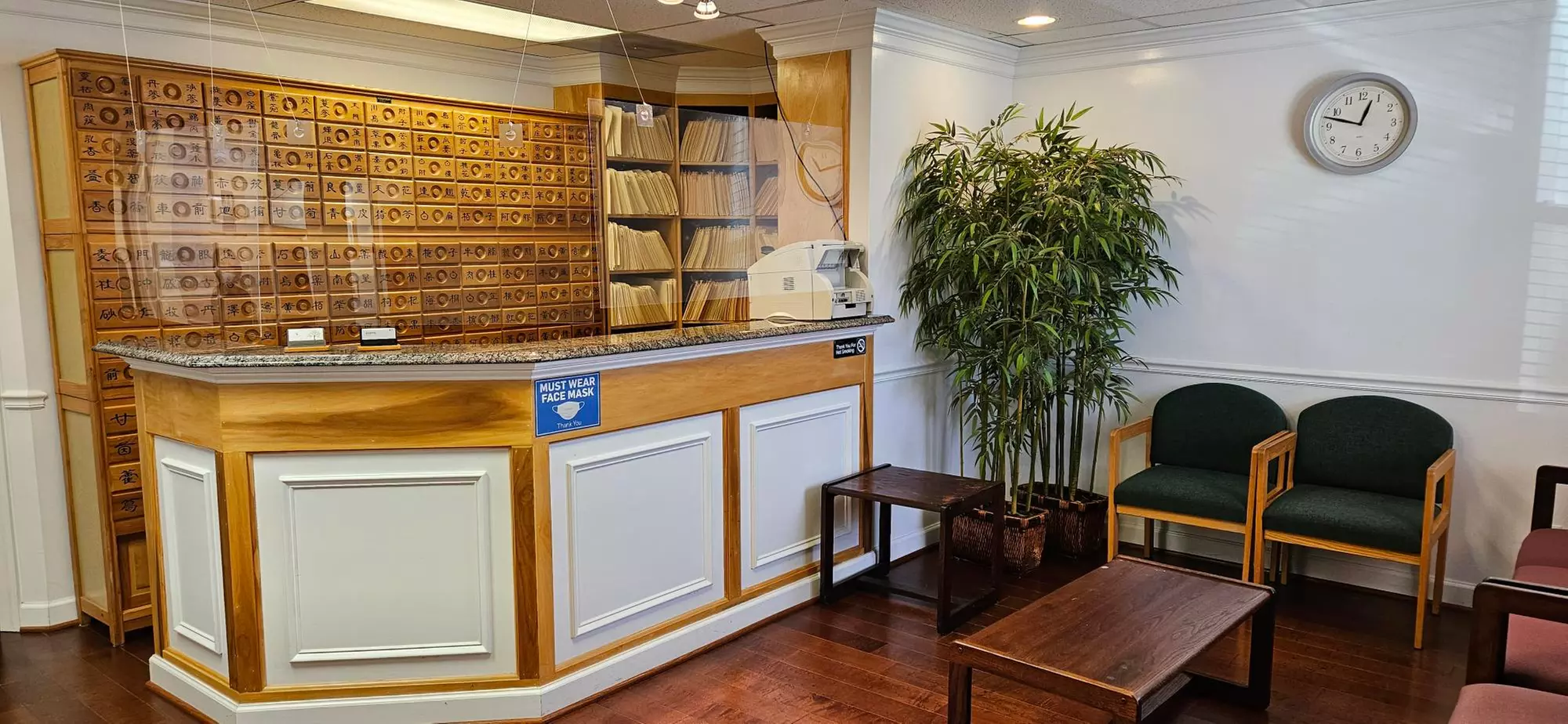 Relieve Stress and Pain with Acupuncture Sessions