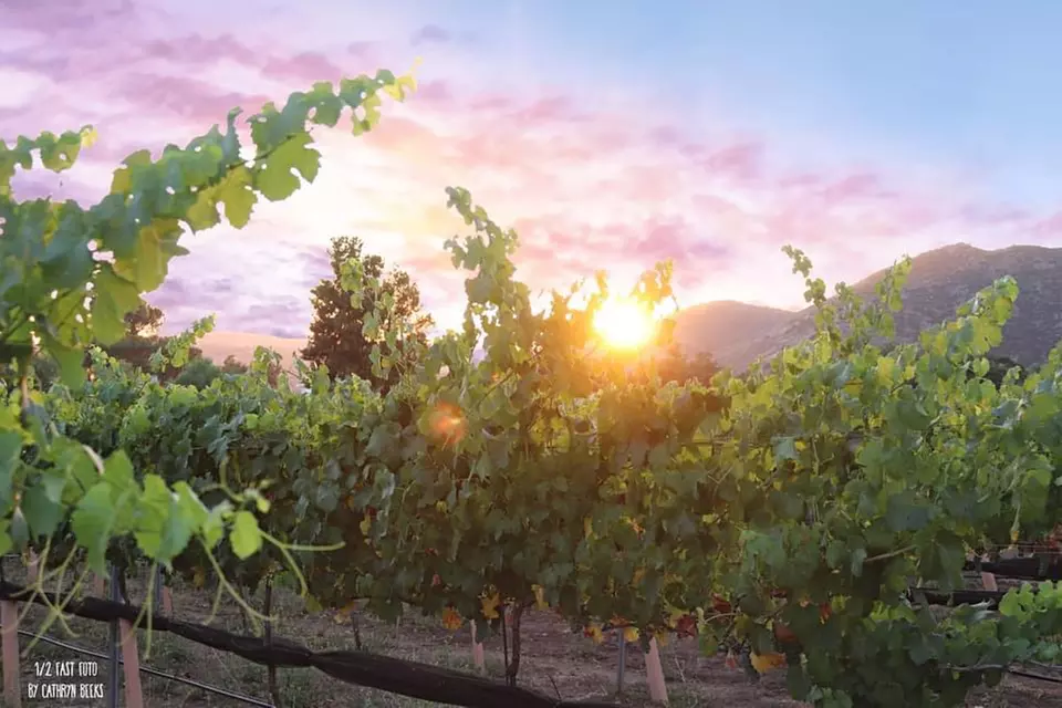 Up to 35% Off on Tasting Menu at Old Julian Vineyards and Winery