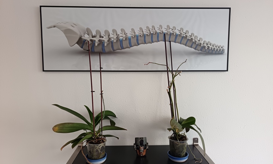 Image 8: 1 o 2 rituales de masaje thai a elegir de 60 minutos 