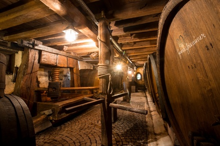 2 entrées pour une dégustation de vins avec visite du domaine François Baur