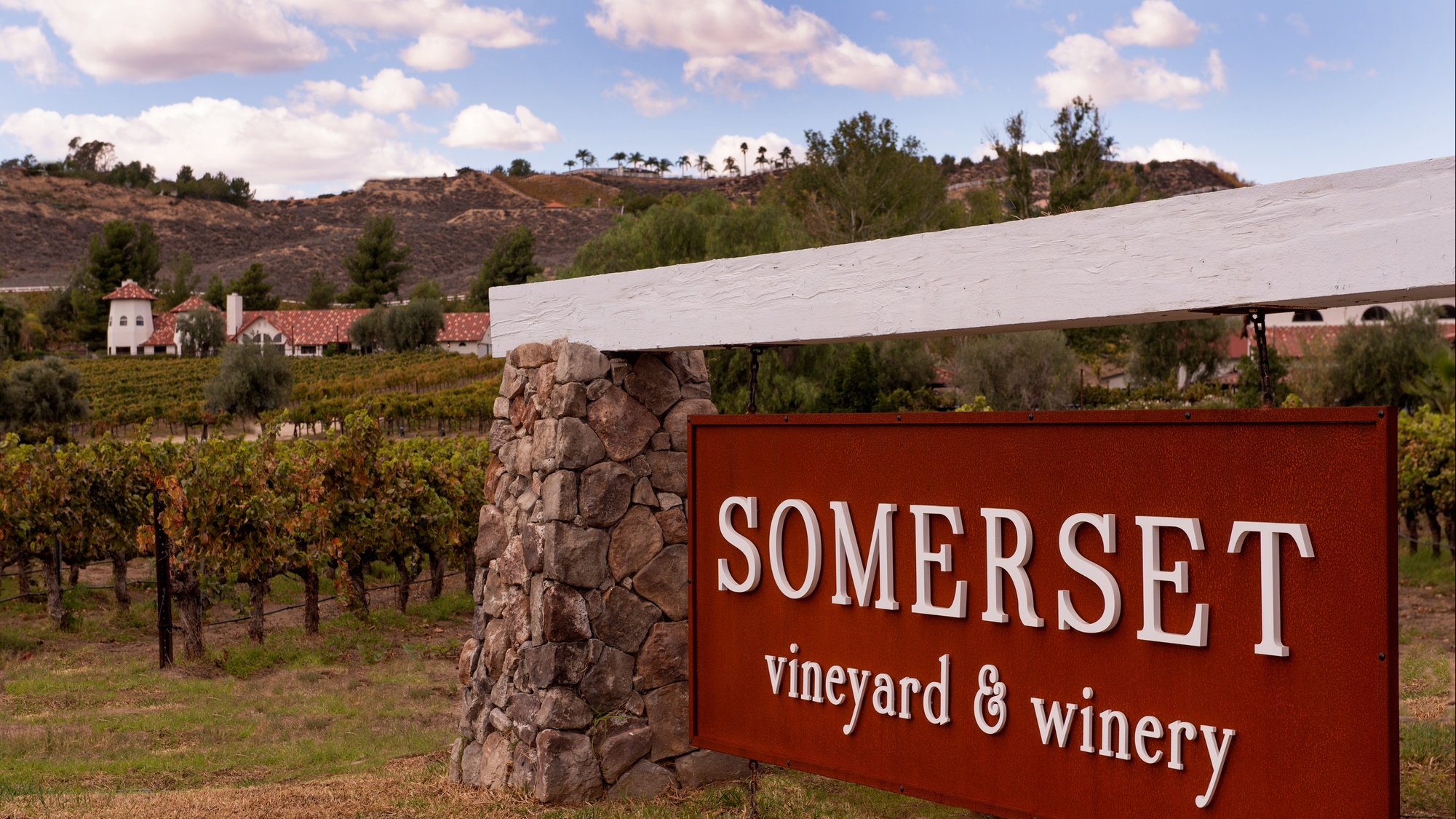 Uncork History: Ancient Amphorae Wine-Making Process Tour and Tasting 