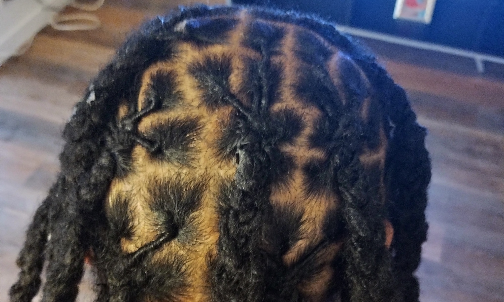 Enjoy a Fresh Look with House of Extensions' Loc Detox, Shampoo, Conditioner, Retwist, and Style Up to 50% Off - Primary Image