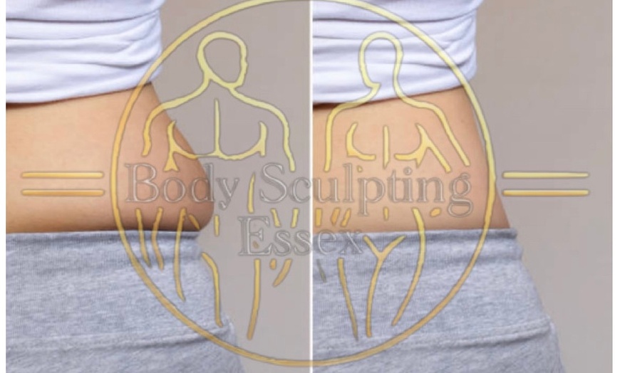 Image 4: Tone and Relax with Electromagnetic Sculpting w/ Private Sauna & More!