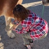 Image 1: Up to 20% Off on Horse Back Riding - Training at Elkhorn Ranch llc