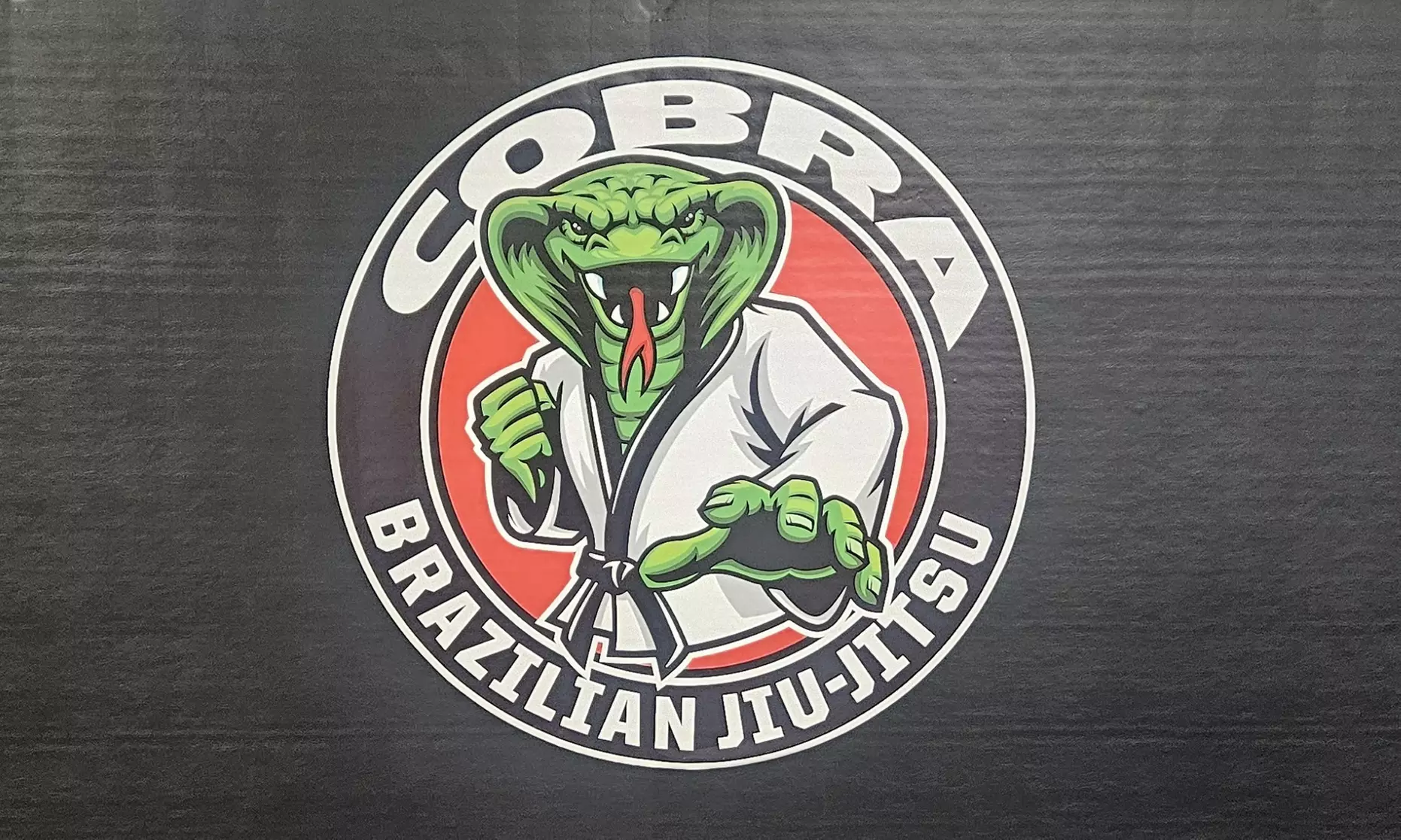 Join One Month of Unlimited Adult Jiu-Jitsu Classes at Cobra Brazilian Jiu-Jitsu Mansfield (Up to 50% Off) - Primary Image