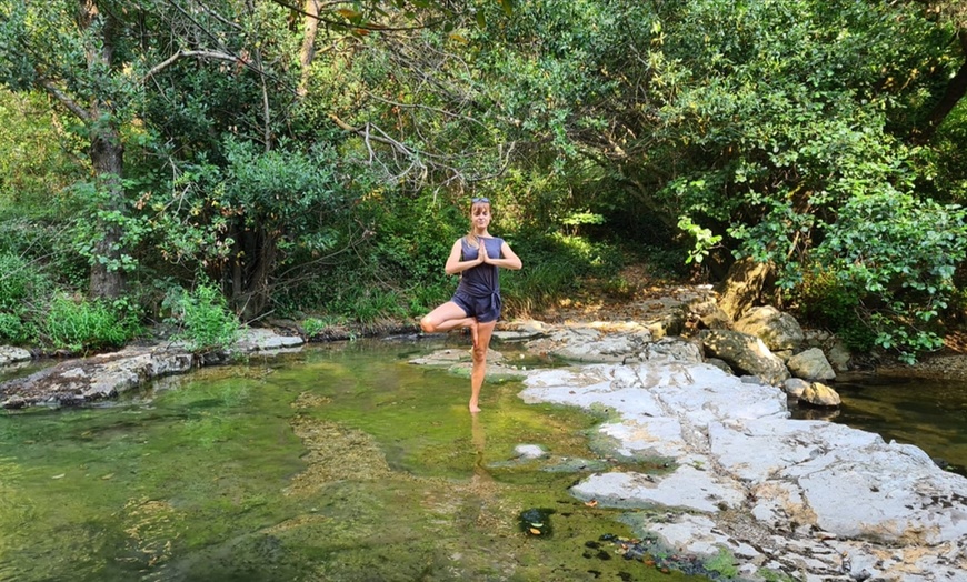 Image 2: 2 cours de yoga sur mesure en visio avec Yoga & Bien-être
