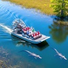 Image 1: Everglades Gator Spotting Airboat Tour from Miami