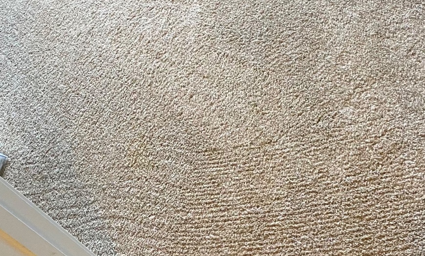 Image 7: Transform Your Space: Say Goodbye to Stains and Hello to Freshness!