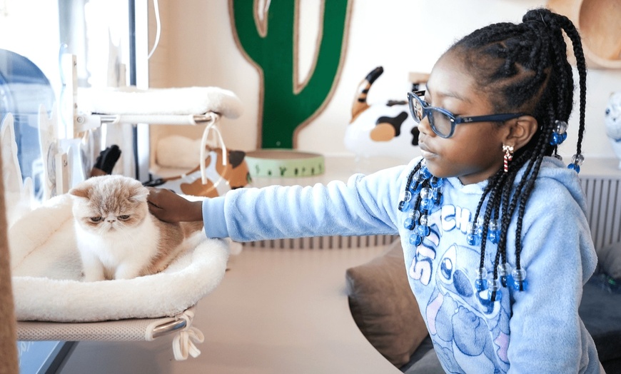 Image 2: Up to 20% Off on Indoor Play Area at Happy Paws US