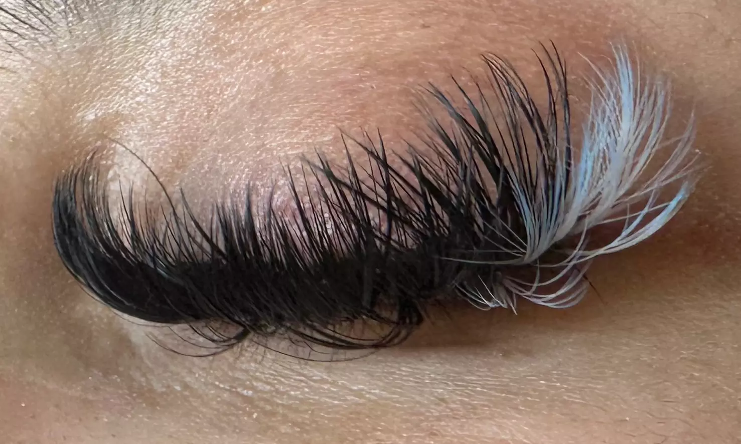 Up to 10% Off on Eyelash Extensions at Lateria’s Lavish Lashes - Second Medium