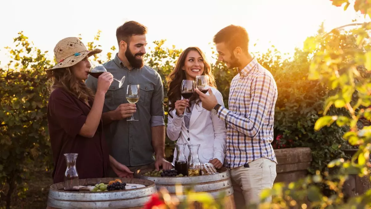 Up to 47% Off on Wine / Vineyard Tour at M&V Limousine Ltd. - Primary Image