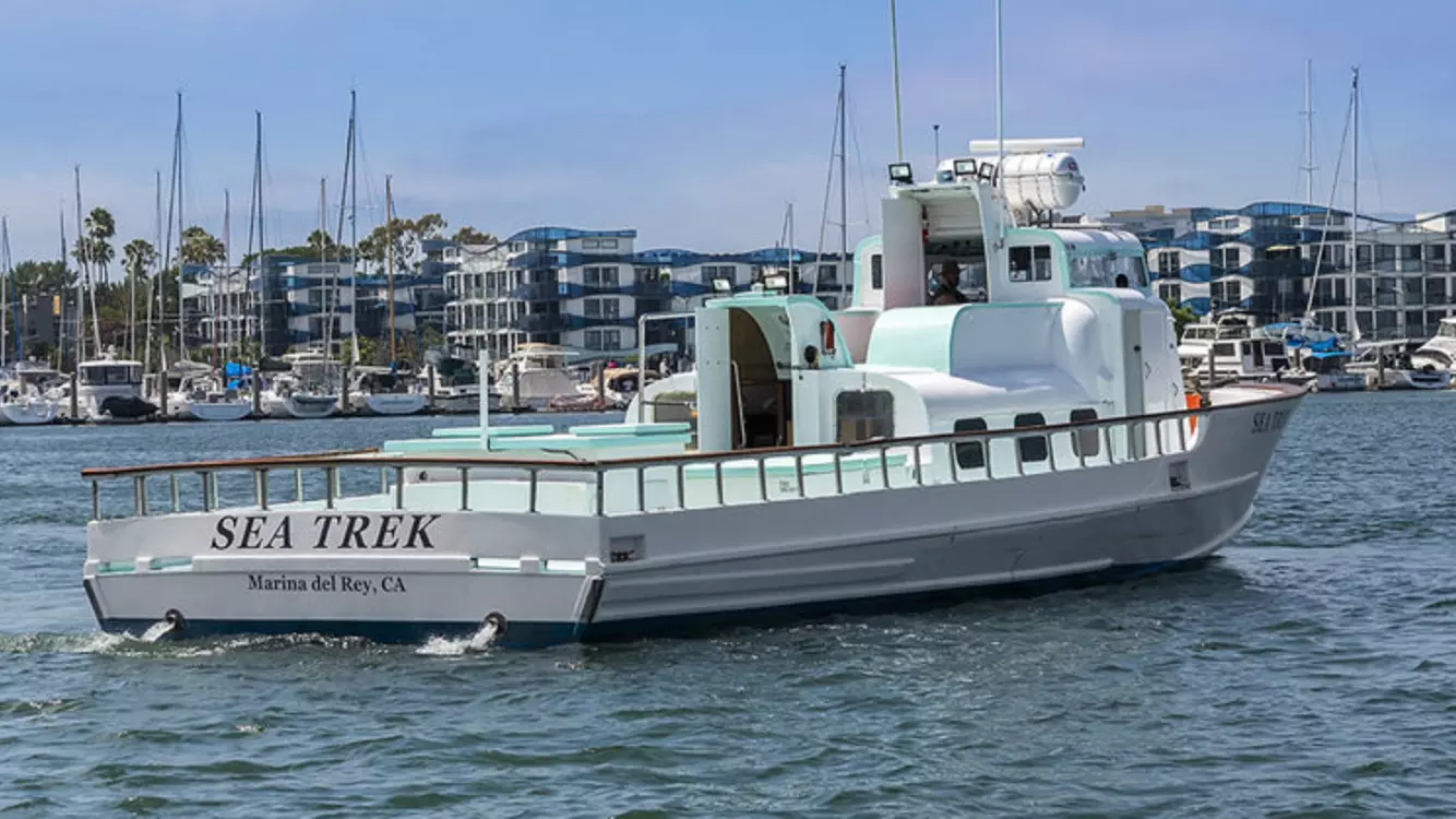Up to 58% Off on Whale / Wildlife Watching at MY Whale, Inc. - Second Medium