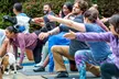 Explore unique yoga and activities at GGA Dwarf Goat Yoga with up to 25% off, including goat yoga, hiking, and more - Second Medium