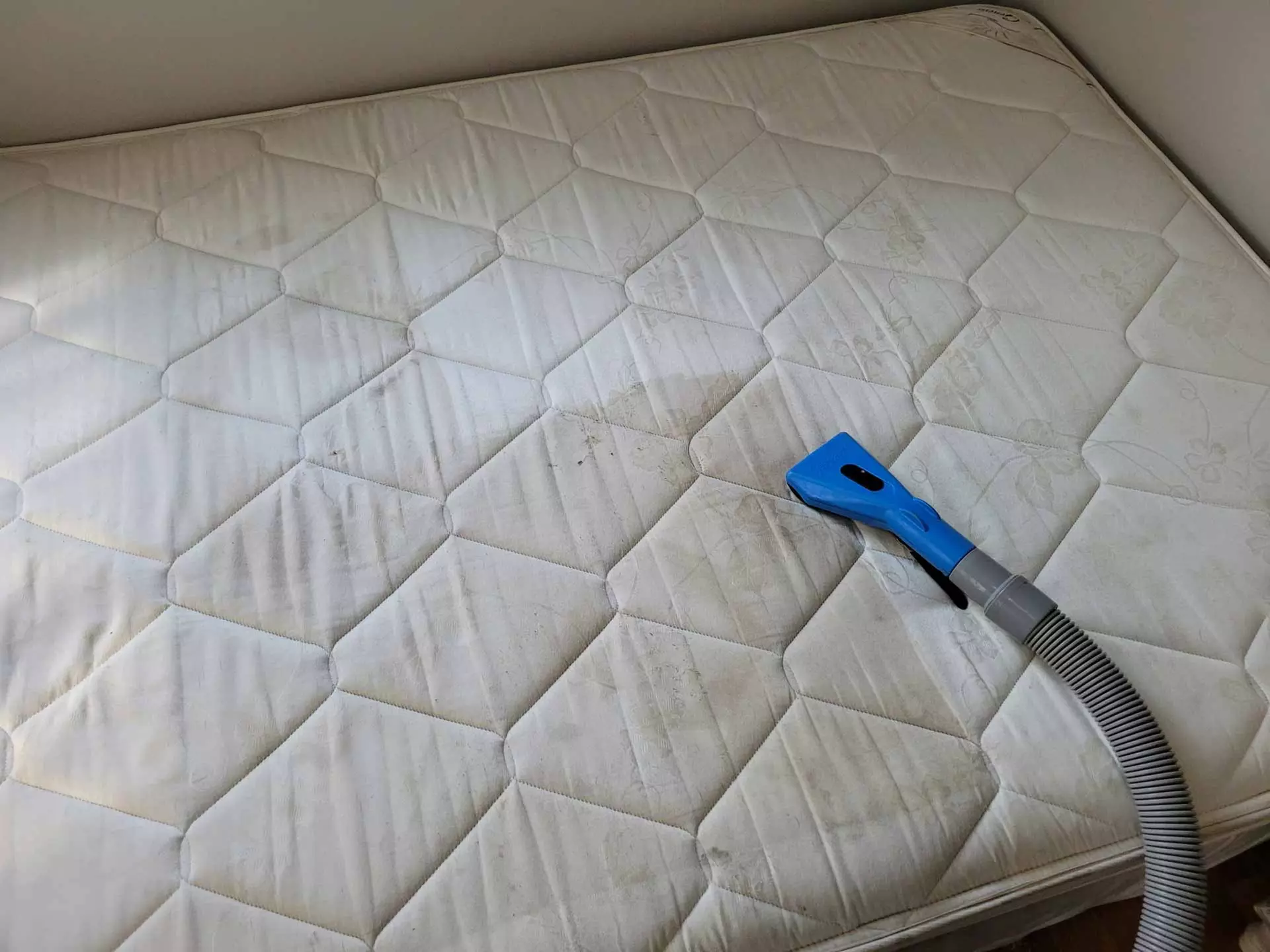 Up to 40% Off on Carpet Cleaning at Bluegrass Company