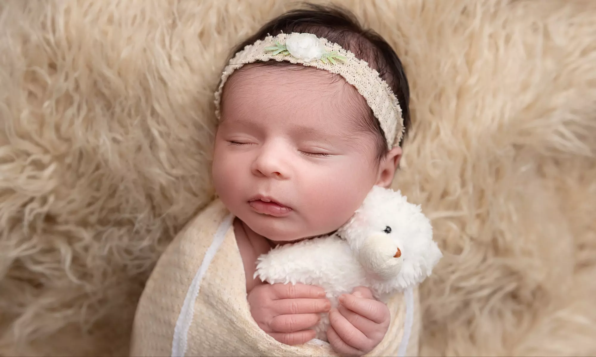 Up to 25% Off on Baby and Kids Photography at Tiny Blessings MN - Primary Image