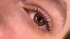 One Eyelash Lift Treatment with Optional Tint at Lash & Brow Glow (Save Up to 30% Off)