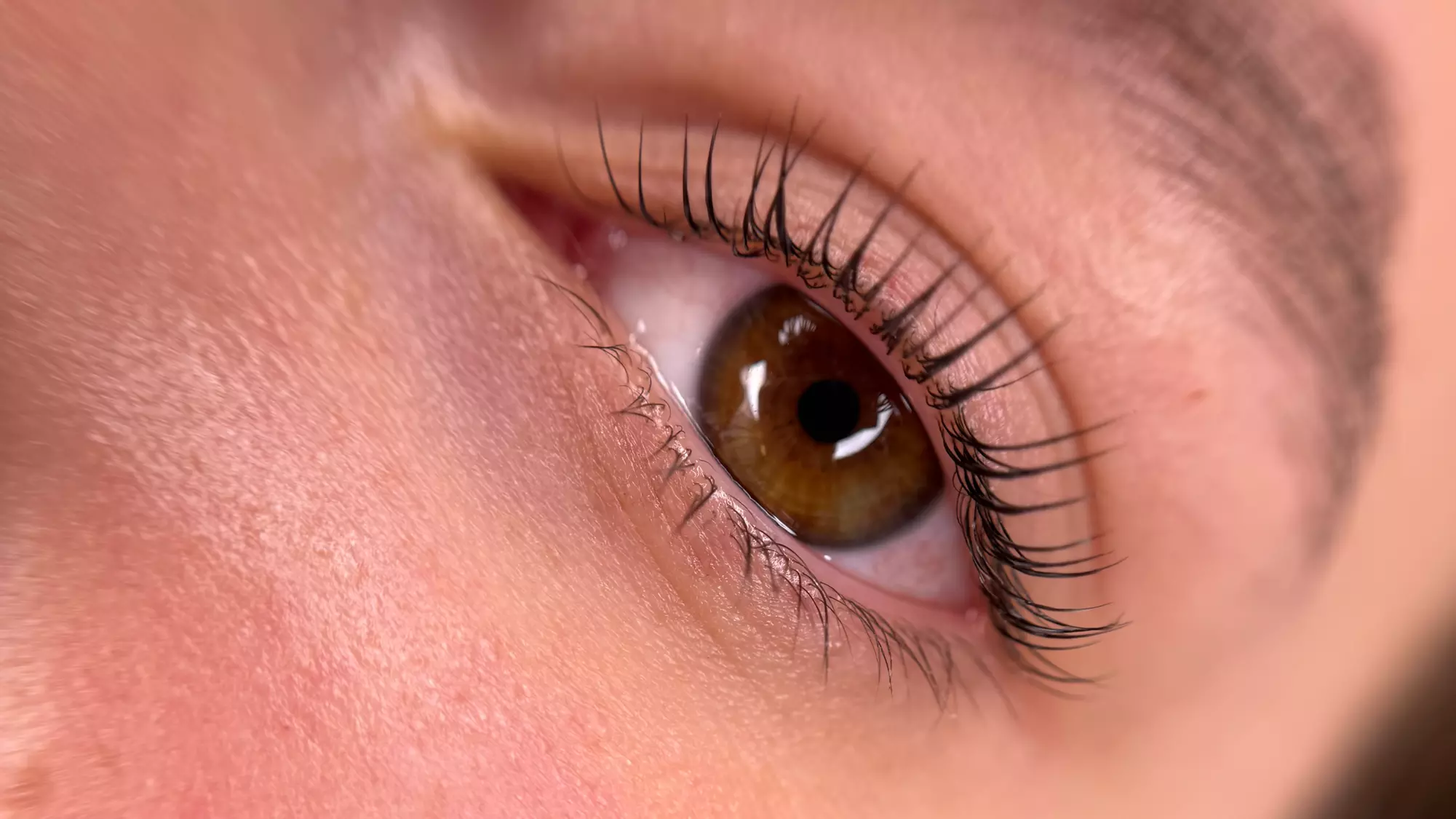 One Eyelash Lift Treatment with Optional Tint at Lash & Brow Glow (Save Up to 30% Off) - Primary Image