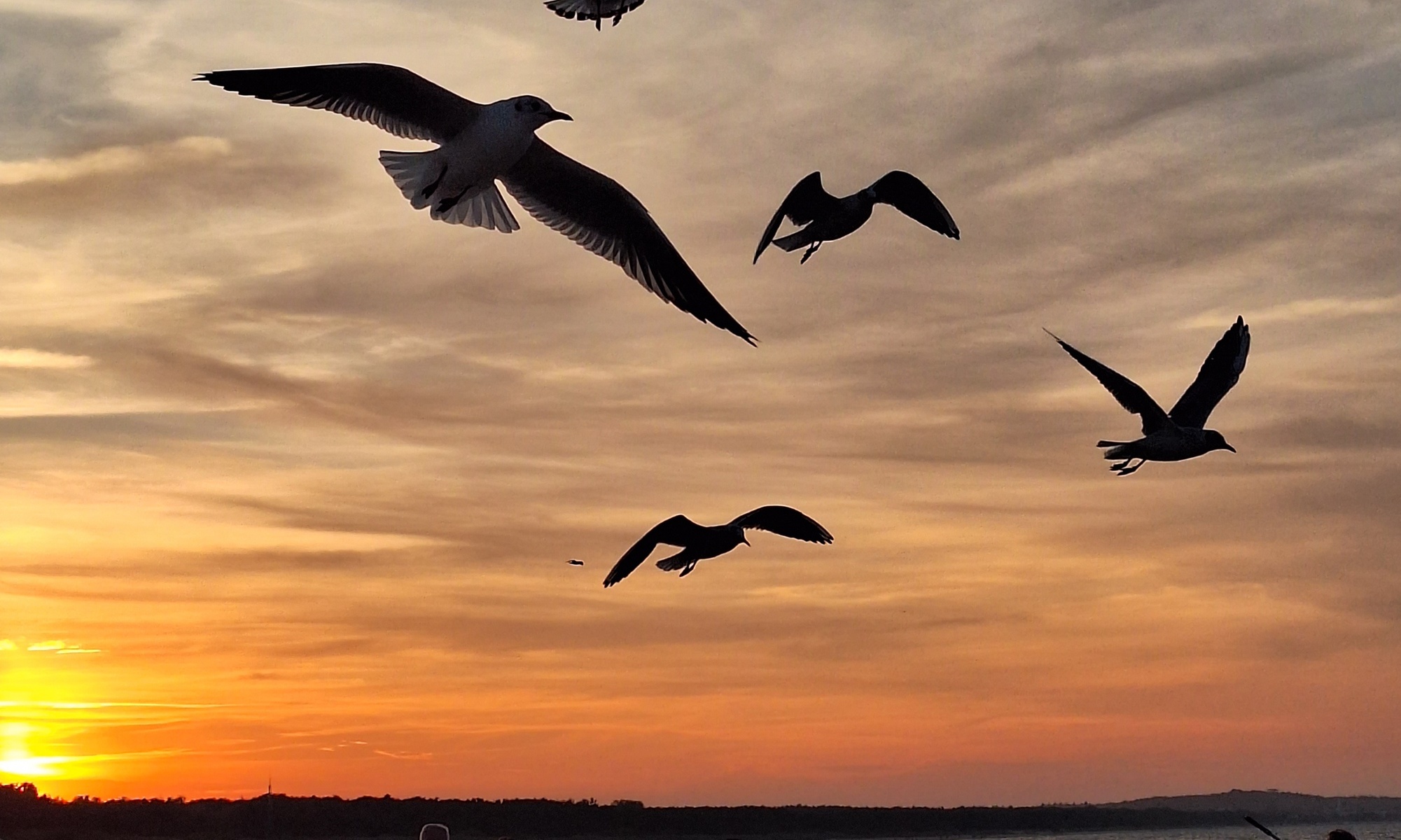 Bis zu 62% Rabatt auf Berater – Life Coach – Online bei Silvi-Dein Klarheitscoach mit Herz