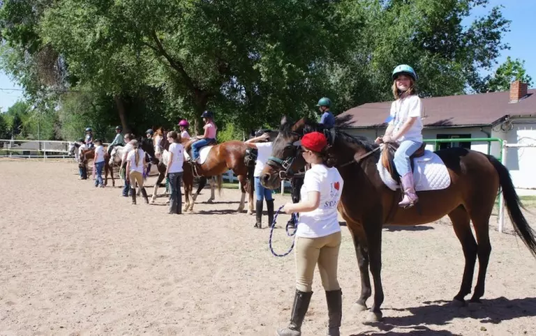 Up to 38% Off on Horse Back Riding at Denver Equestrians - Primary Image