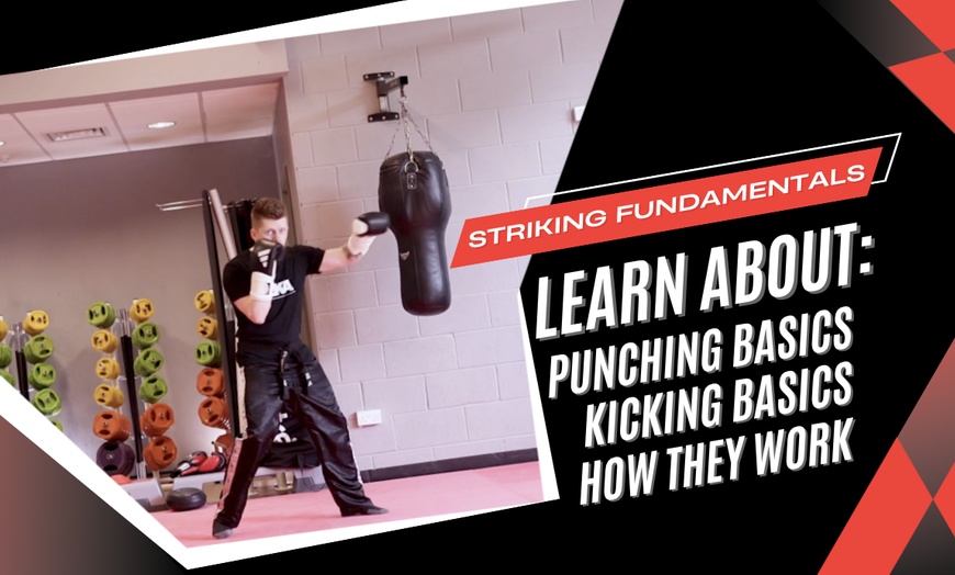 Image 3: Kickboxing - Training at Elite Kickboxing Academy Ltd