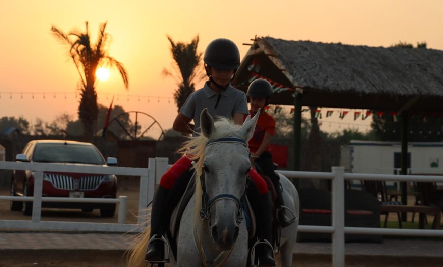 Image 2: Al Madam 2 Stables, 45-minute horse riding lesson