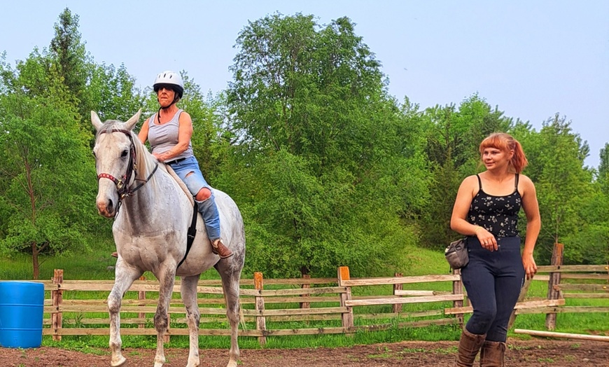 Image 2: Explore Private Horseback Riding Lessons for All Levels