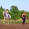 Image 2: Explore Private Horseback Riding Lessons for All Levels